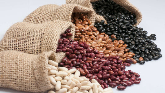 Essential Foods for Survival: Your Guide to Stay Prepared