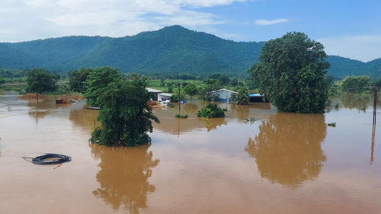 Recent Natural Disasters - Are You Ready for One?